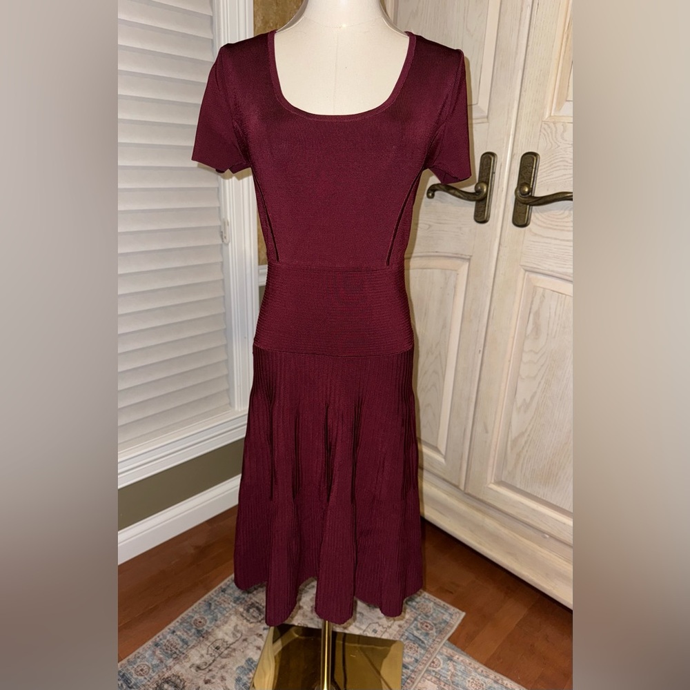 Michael Kors Merlot Drop Waist Dress XS